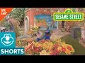 Sesame Street Grover Shows Near and Far in VR 180