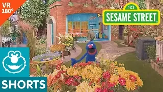 Sesame Street Grover Shows Near and Far in VR 180