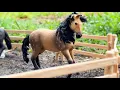 Download Lagu Racing Hearts - Episode 10 - Schleich Horse Series