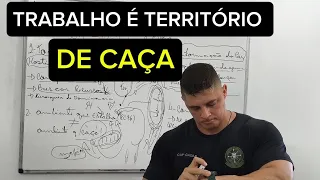 RC 90 | TRABALHO, TERRITÓRIO DE CAÇA, N CONFUNDA.
