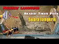 Download Lagu Reaksi Tikus dengar suara jangkrik