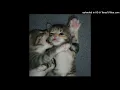 JUL - Toto et Ninetta (sped up & reverb)