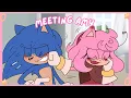 Meeting Amy Sonic Movie Animation