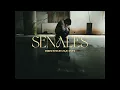 Señales - Simon Savi (Video Oficial)