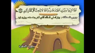 سورة البقرة الآيات 275 281 المنشاوي المعلم 