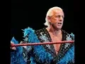 Ric Flair Net Worth - Celebrity Net Worth