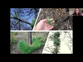 New Jersey Pine Barrens Fire Ecology Panel Prescribed Fire Science Workshop Webinar Series