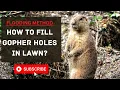 Does Flooding Gopher Holes Work