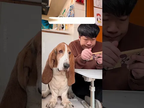 🐶 Dog’s Giant Ears Changed His Owner’s Life ❤️