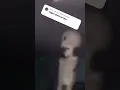 Download Lagu Skeleton Flying in a Ceiling Fan meme 💀💀💀💀 #memes #shorts