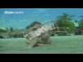 LUIS MIGUEL  LA CHICA DEL BIKINI AZUL   EXTENDED REMIX  VDJ STAR MIX