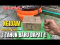Download Lagu SULITNYA MINTA AMPUN‼️TAPI MEMUASKAN,NGIDAM 1 BURUNG SAJA BERTAHUN2 BARU DAPAT‼️