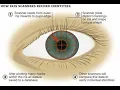 What is IRIS RECOGNITION TECHNOLOGY What does IRIS RECOGNITION mean