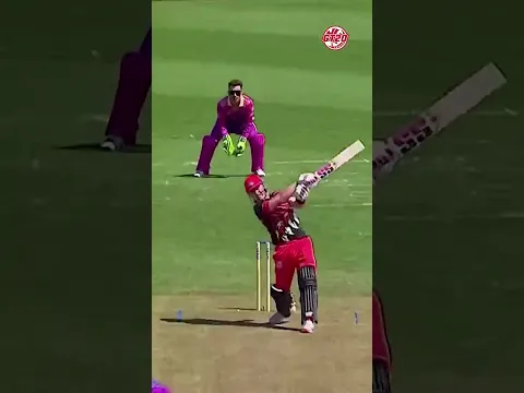 The Bat’s Got something To Say ft. Tim Seifert | GT20