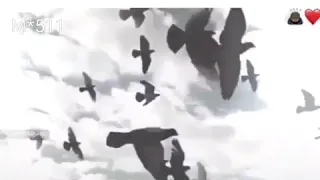 شيلة الله على الدنيا كبير دندنها