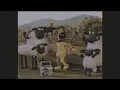 Download Lagu SHAUN THE SHEEP - P H O N K (REMIX)