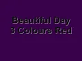 Beautiful Day - 3 Colours Red