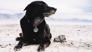 From Snow to Sand – Pushing North 39