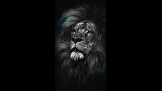 بنه مجاهدة حفلة الحاج يوسف 