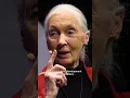 Jane Goodall's message for humanity #shorts #tedx
