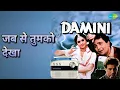 जब से तुमको देखा | Damini | Kumar Sanu | Sadhana Sargam Songs | Meenakshi Seshadri