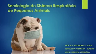 Semiologia do Sistema Respiratório de Pequenos Animais