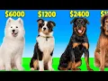 Dog Breeds by PRICE Most Expensive Dogs in The World