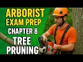 Arborist Exam Prep Chapter 8 - Pruning