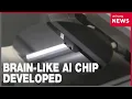 New AI semiconductor mimics the human brain s learning process