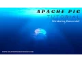 Apache Pig Tutorial - Ordering Records