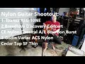 Nylon String Acoustic Electric Guitar Comparison: Ibanez vs Breedlove vs Godin