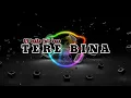 DJ TERE BINA FULL BASS/DJ INDIA MASSEH