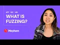 What is Fuzzing