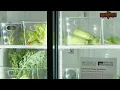Springfield Community Gardens Ozarks Food Harvest expands its community fridge program