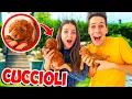 Download Lagu SONO NATI I CUCCIOLI DEL NOSTRO CAGNOLINO!!