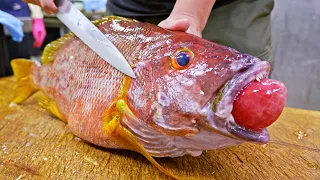 How many Unique fish be found at harbor?Yellowfin Seabream cutting skill_成功漁港有多少特別的魚？女職人快刀殺魚!黃翅鯛魚切割技
