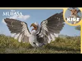 Zazu Funny Moments Mufasa The Lion King