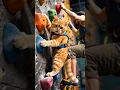 Suatu hari anak kucing lucu bermain di tempat panjat tebing #cute #cat #cuteanimals #shorts
