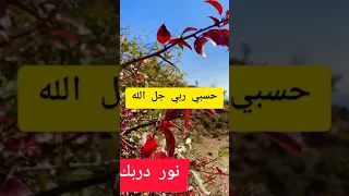 أنشودة سامي يوسف الرائعة يارب العالمين 
