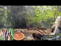 Download Lagu Camping di hutan Kalimantan mencari ikan bermalam di pinggir sungai  berburu ikan baung