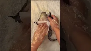 أكثر ضفدع محظوظ في العالم     حيوانات  ضفدع  حظ دندنها