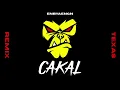 CAKAL - TEXAS (REMIX)