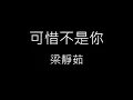 【可惜不是你 Unfortunately Not You】梁靜茹 Fish Leong《歌詞》
