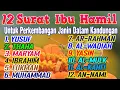 Download Lagu 12 Surat Untuk Ibu Hamil Surat Yusuf Thaha Maryam Ibrahim Luqman Muhammad Ar-Rahman Al-Waqiah Yasin