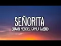 Download Lagu 1 Hour |  Shawn Mendes, Camila Cabello - Señorita (Lyrics)  | Lyrics Reality Loop