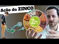Download Lagu [RESUMO] ZINCO PARA HOMENS: funções, onde você perde e como repor