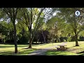 Saccades Exercise 2