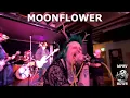 MOONFLOWER - Live
