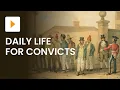 Download Lagu The Life of a Convict during Australia's Colonial Times | History | ClickView