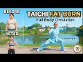30min TaiChi Weight Loss Full body Circulation Sculpt Energize Melt Fat
